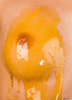 Breast Covered in Honey